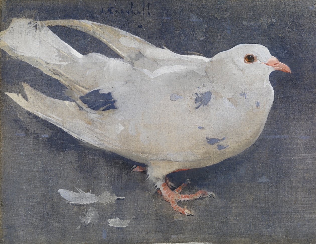 The Pigeon (gouache på lin) av Joseph Crawhall