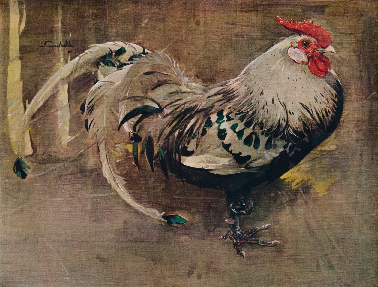 The Spangled Cock, 1903 1935 av Joseph Crawhall