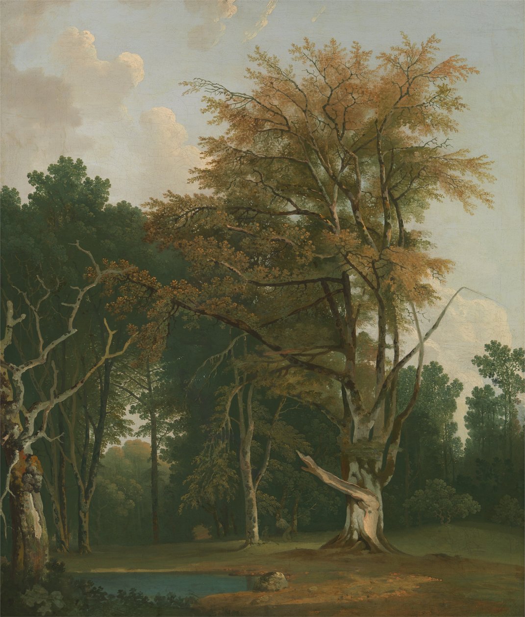  av Joseph Farington