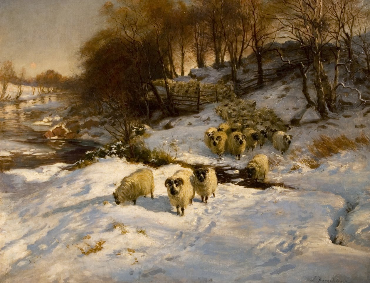 Sauer i snøen av Joseph Farquharson