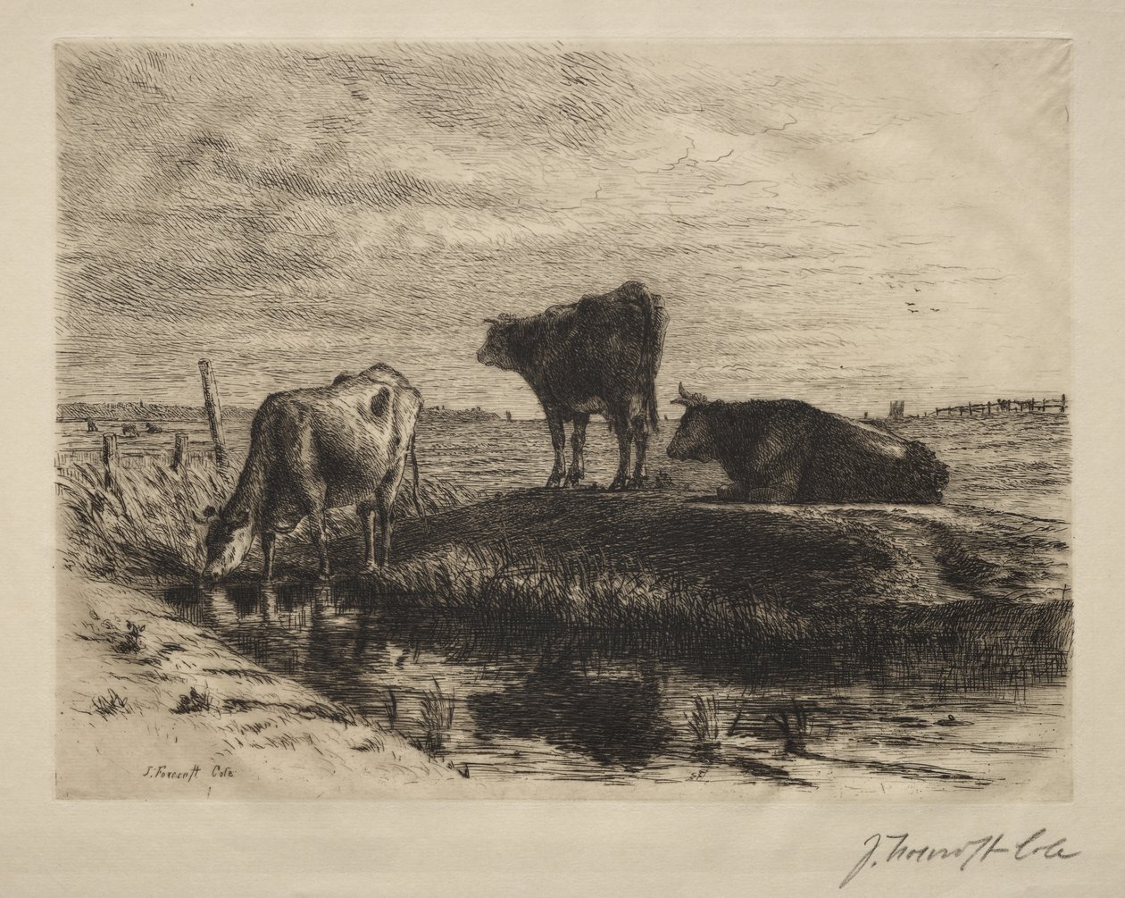 De tre kyrne. av Joseph Foxcroft Cole