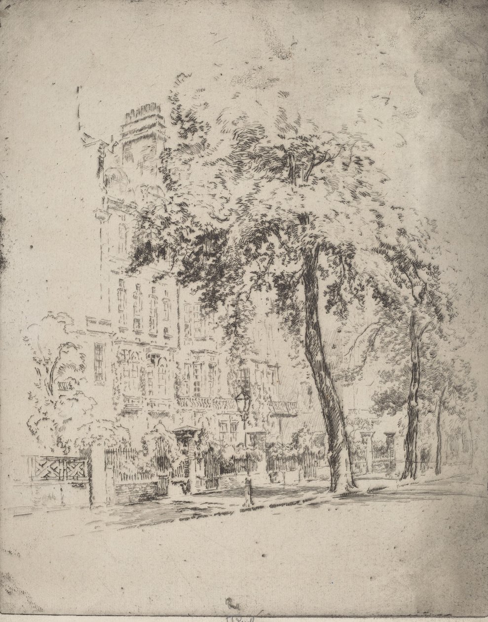 Big Tree, Cheyne Walk, 1906. av Joseph Pennell
