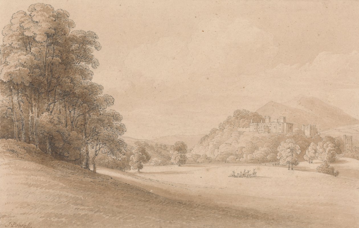 Dunster Castle, Somerset: Viser Castle in Distance av Joseph Powell