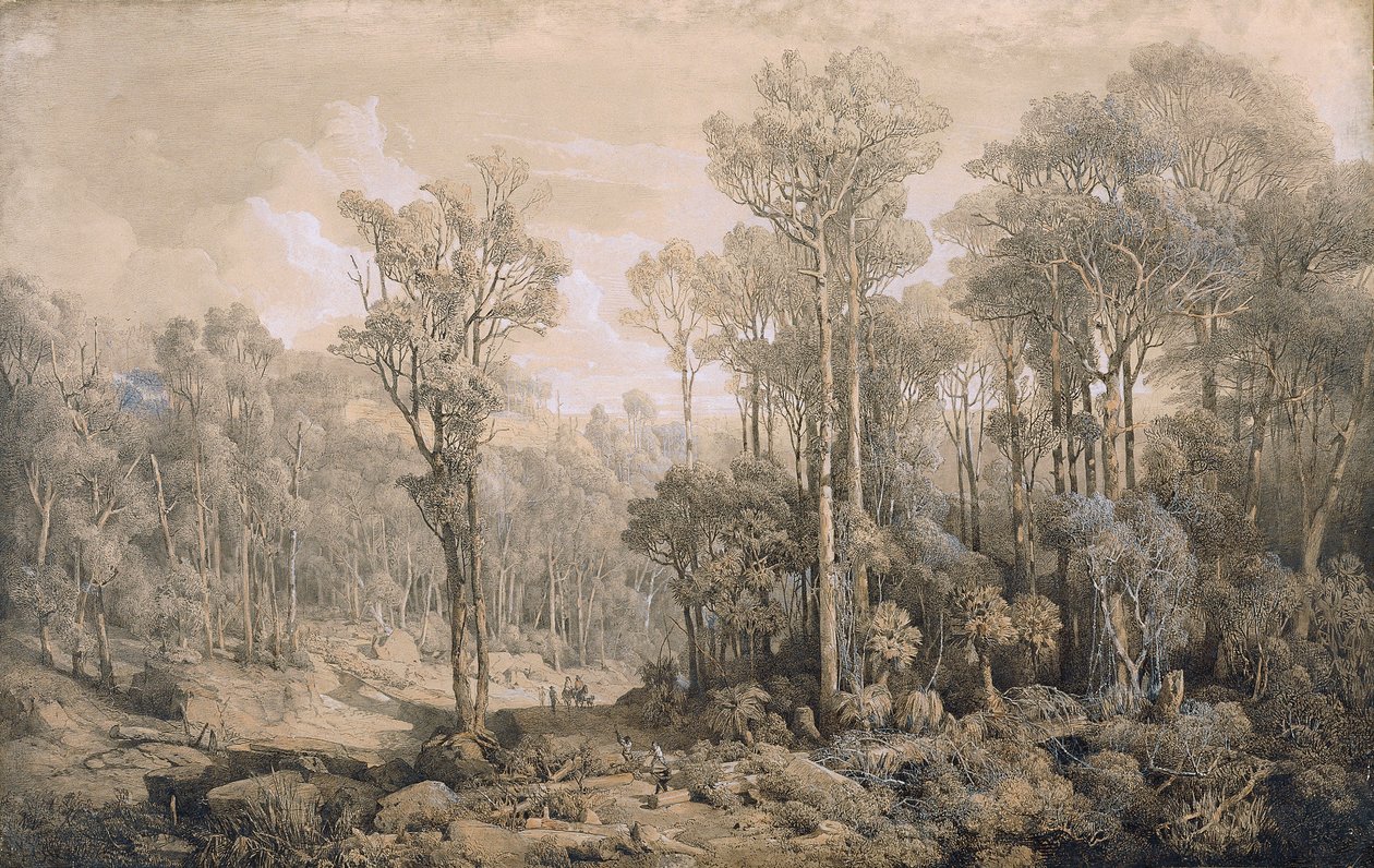 australsk skog av Joseph Selleny