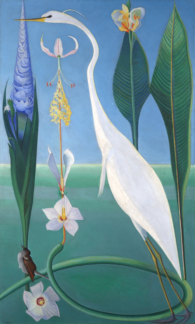 Den hvite hegre av Joseph Stella