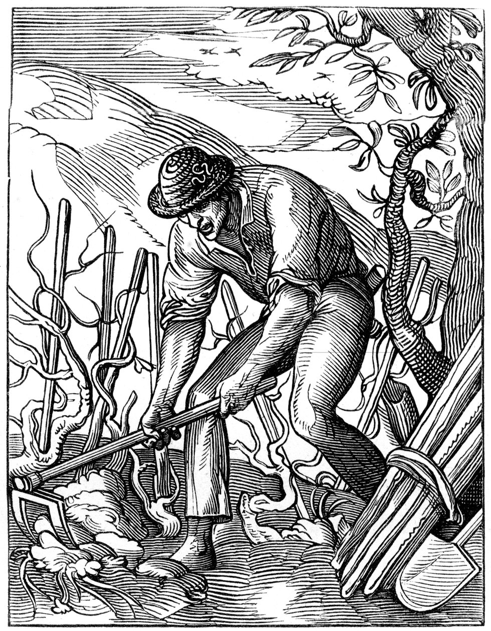 Vinmaker, 1500-tallet 1849. av Jost Amman