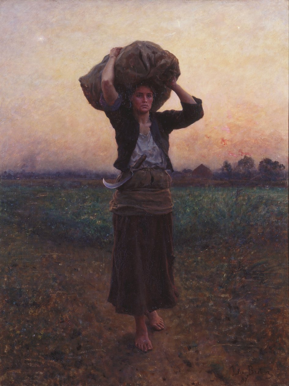 Shepherd