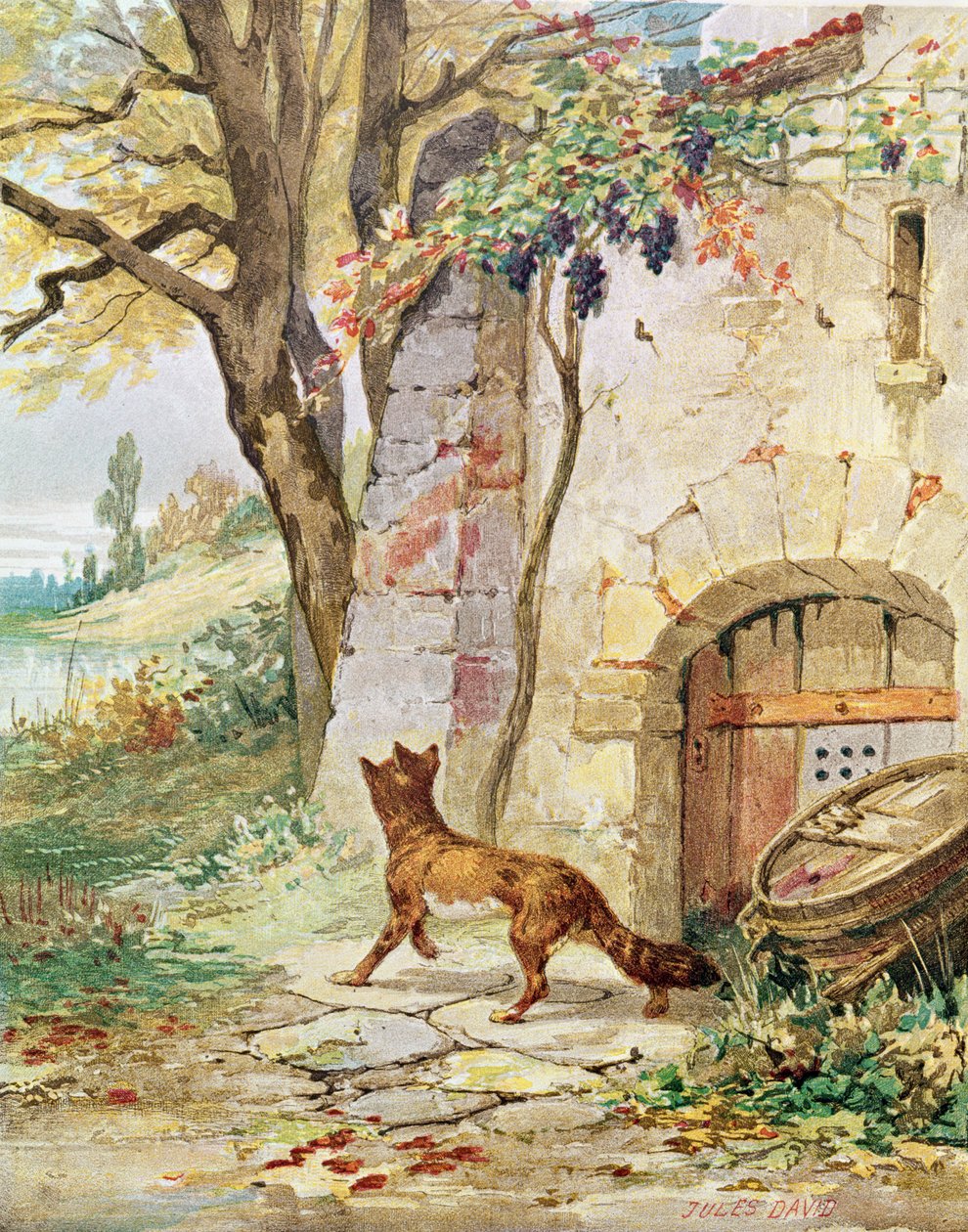 The Fox and the Grapes, illustrasjon for 