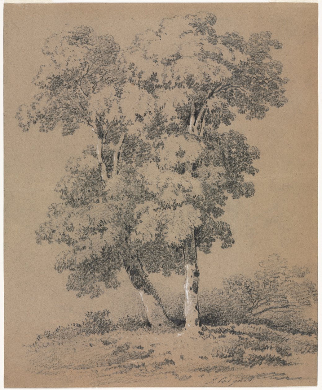 Trestudie av Jules Coignet