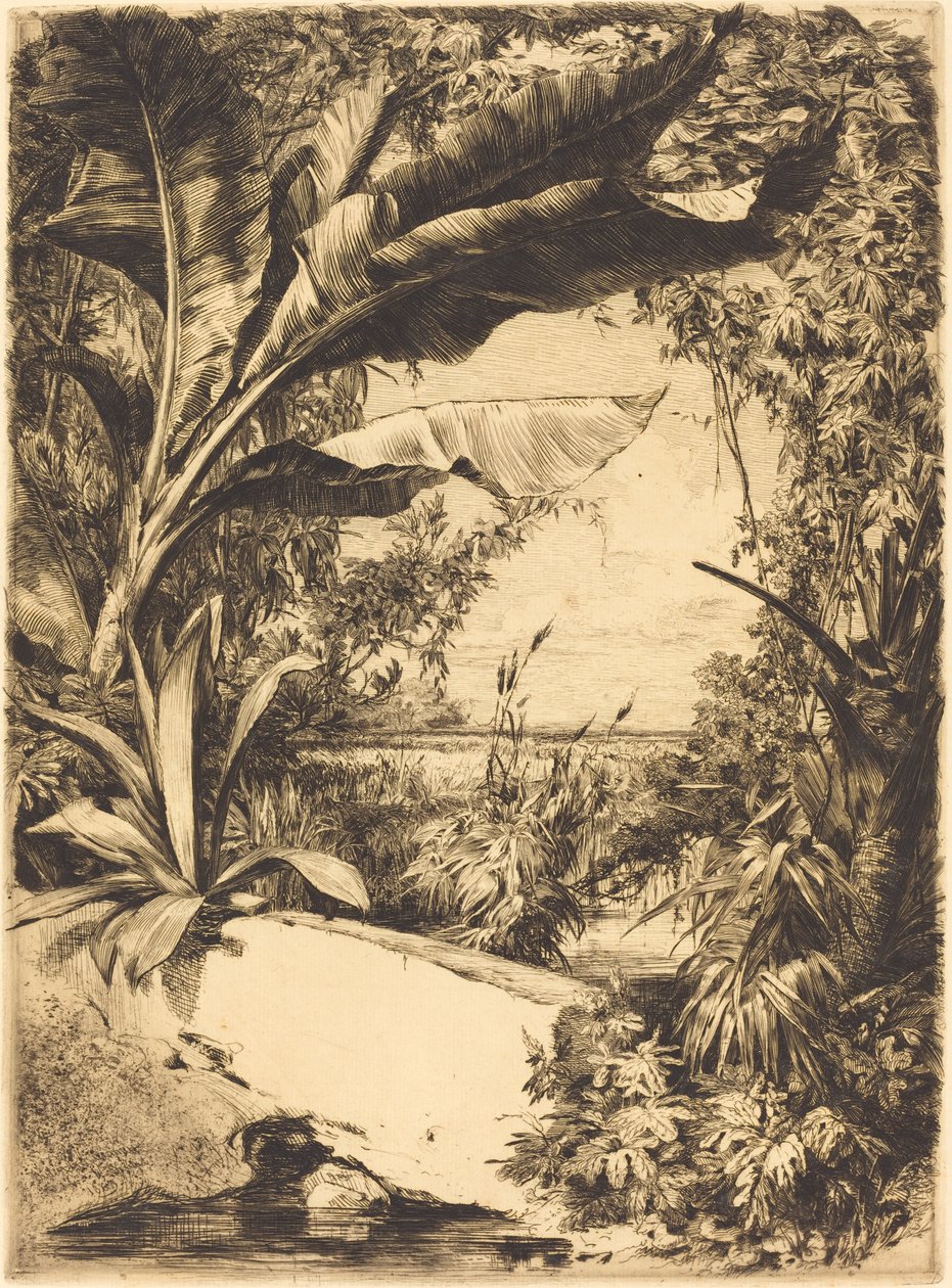 drivhusplanter av Jules Ferdinand Jacquemart
