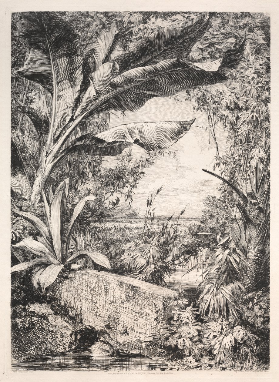 Drivhusets planter av Jules Jacquemart