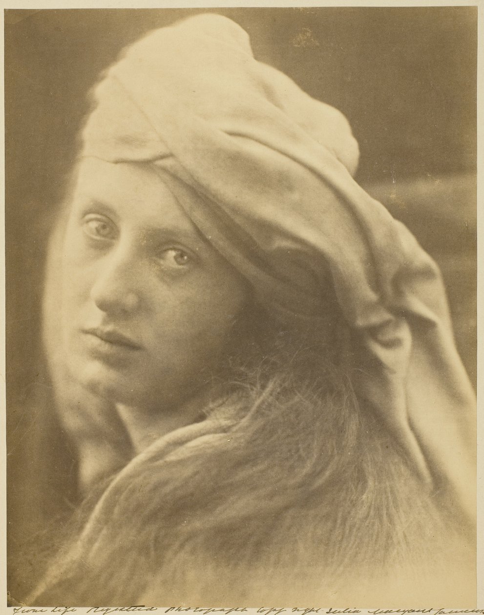 En studie av Beatrice Cenci av Julia Margaret Cameron