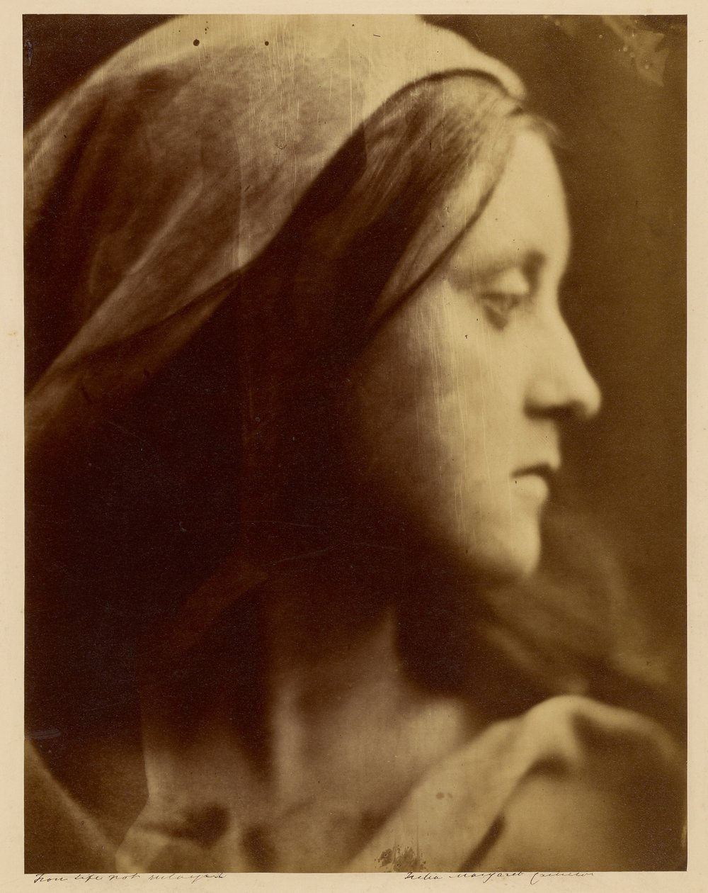  av Julia Margaret Cameron