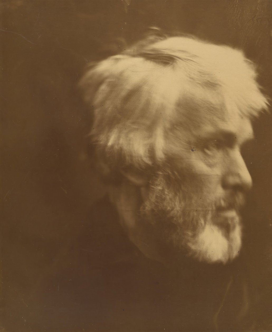 Thomas Carlyle, 1867. av Julia Margaret Cameron