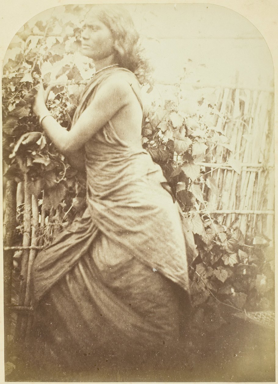 Kvinne, Ceylon, 187579. av Julia Margaret Cameron