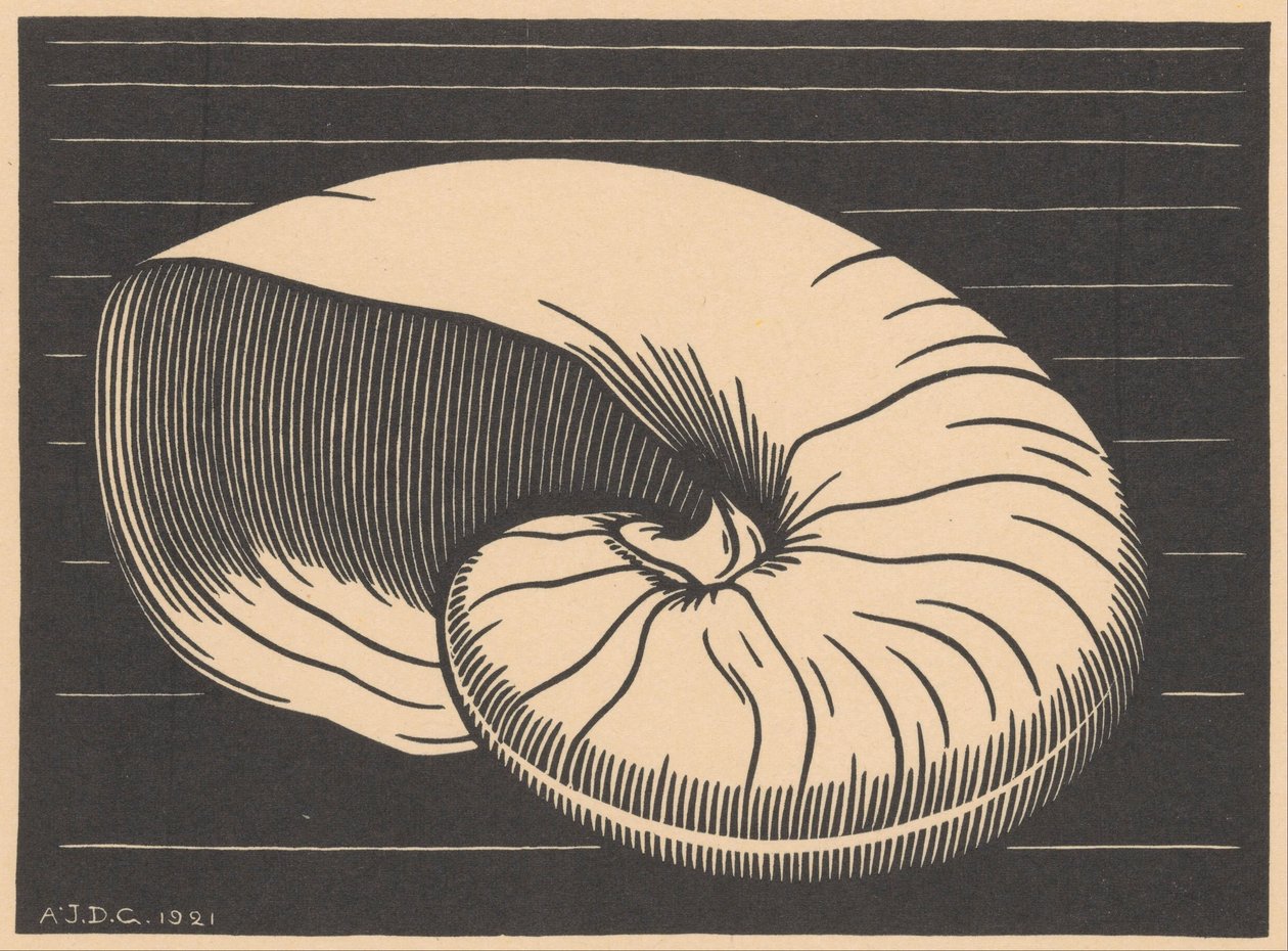 Shell av Julie de Graag (signed by artist)
