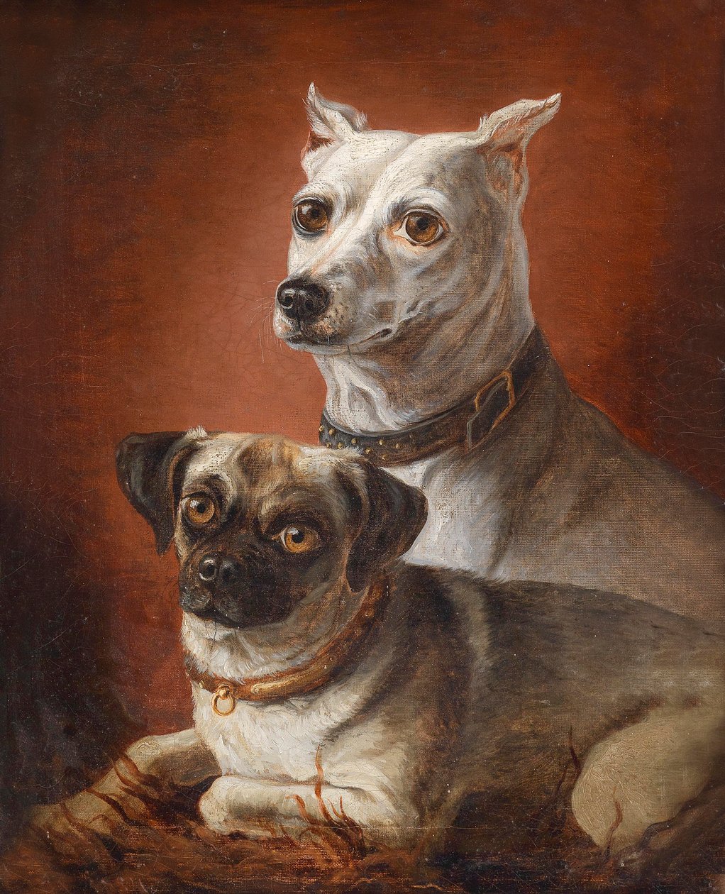 Hundeportrait av Julius Hamburger