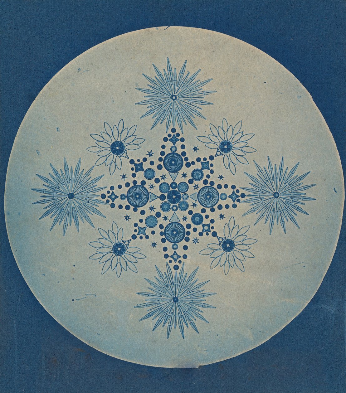[Frustules of Diatoms], ca. 1870. av Julius Wiesner.