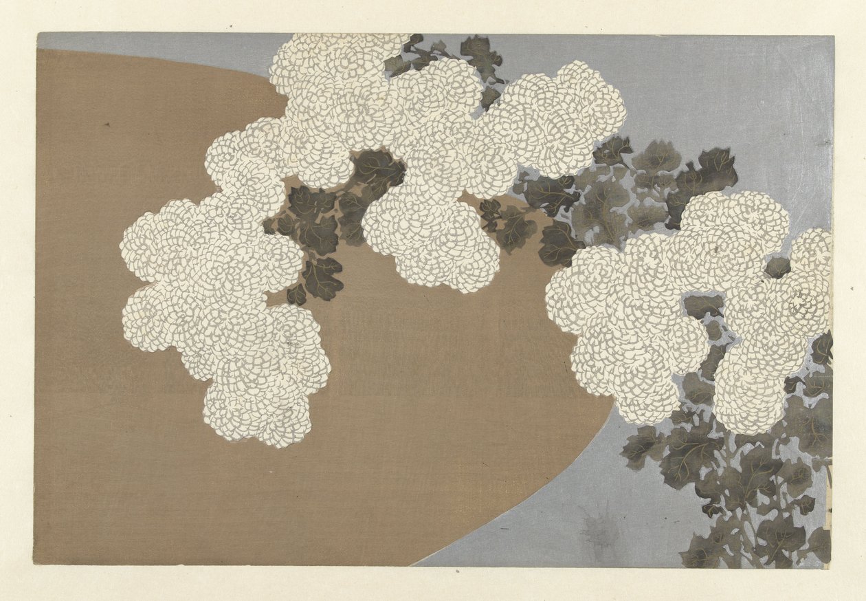 Krysantemum, 1909 (treblokktrykk) av Kamisaka Sekka