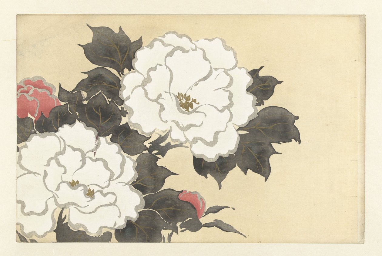 Peonies, 1909 (treblokktrykk) av Kamisaka Sekka