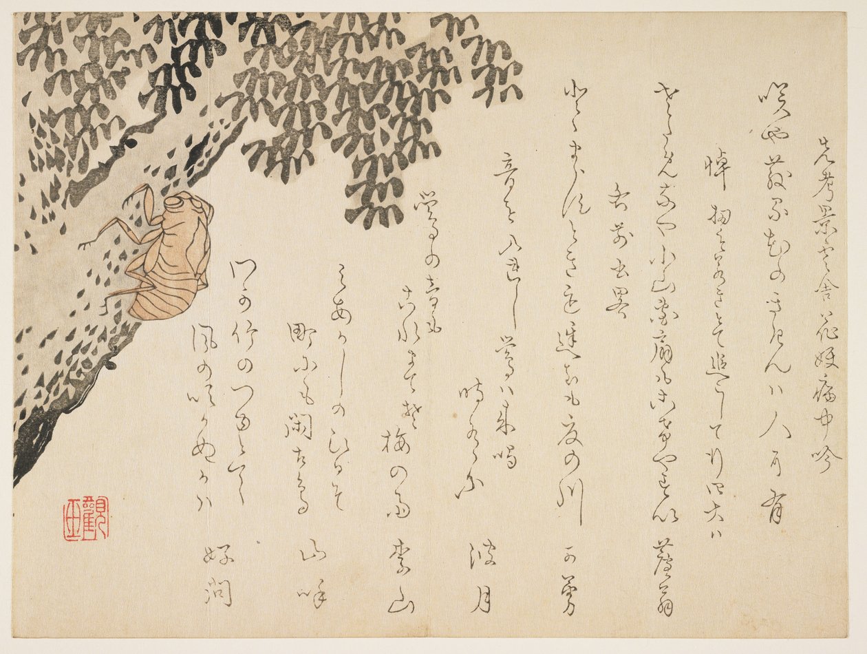 Shell of a cicada, ca. 1848-53 (farget treblokktrykk) av Kangyoku Hgan