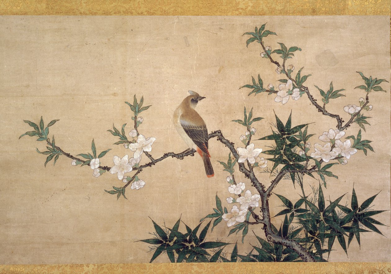 Fugl på ferskenblomst, ca. 1550-60 (akvarell på papir) av Kano Yukinobu