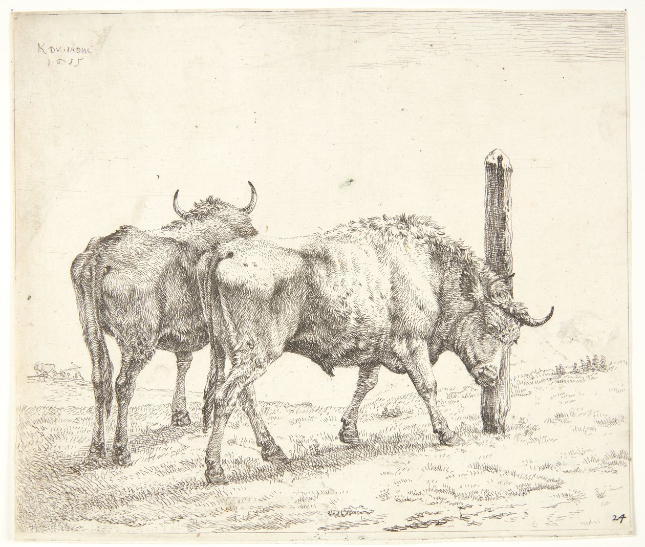 De to oksene av Karel Du Jardin