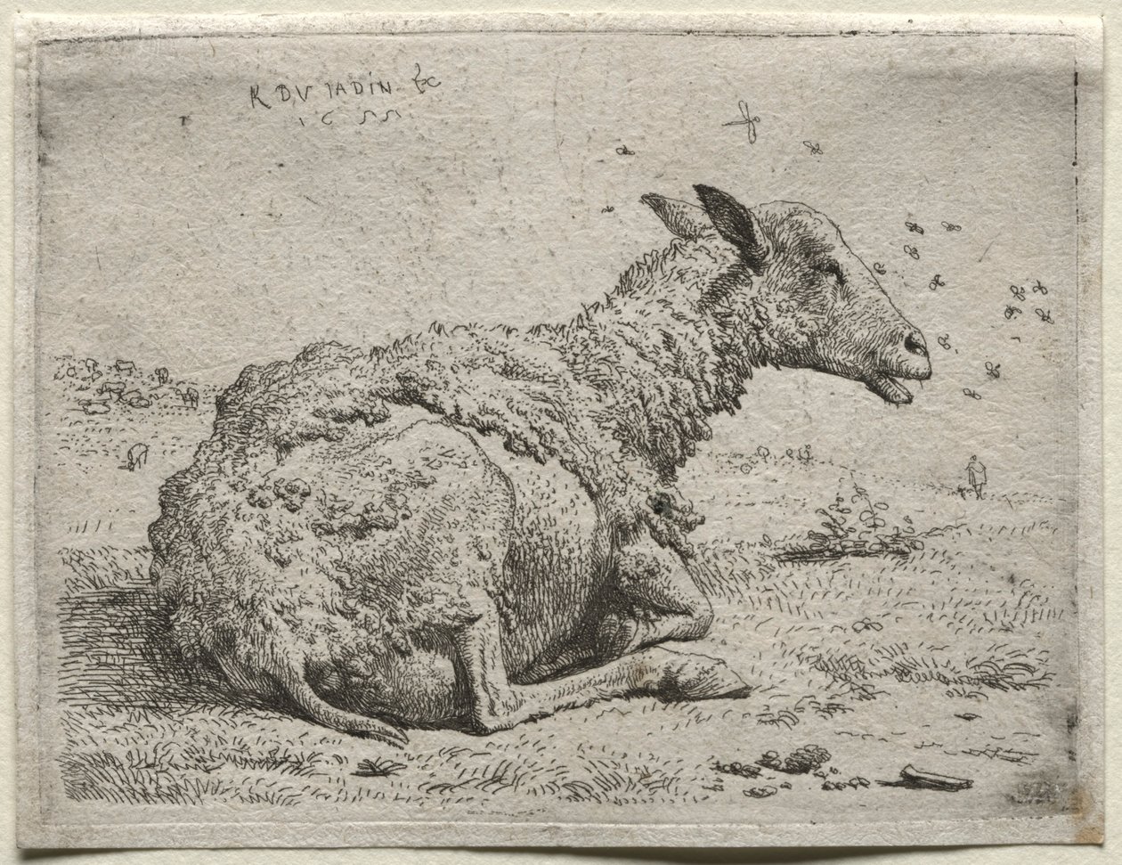 Sauene og fluene. av Karel Dujardin
