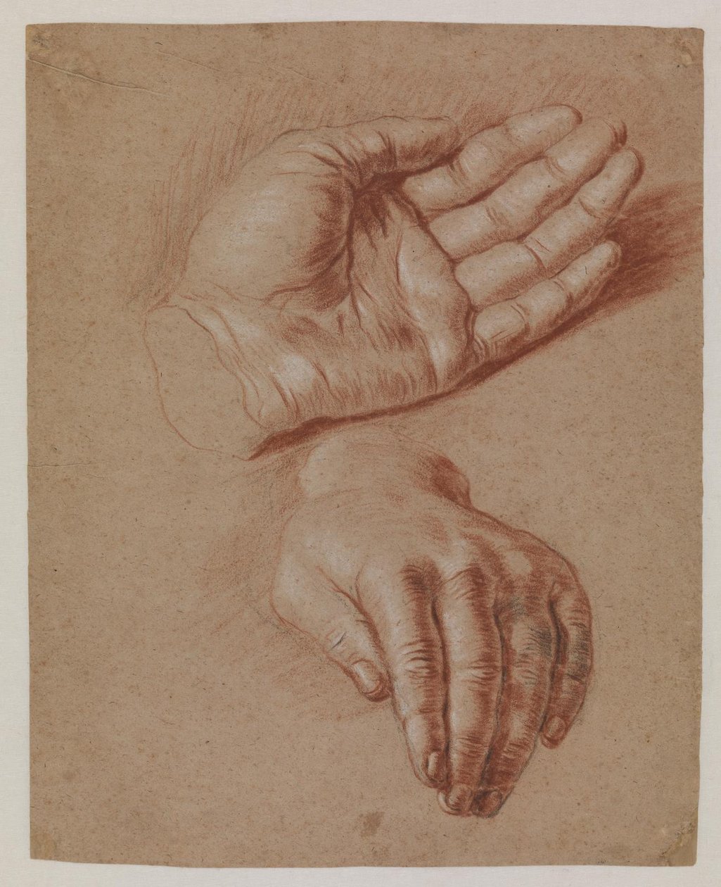 Studier av to hender. av Karel van III Mander