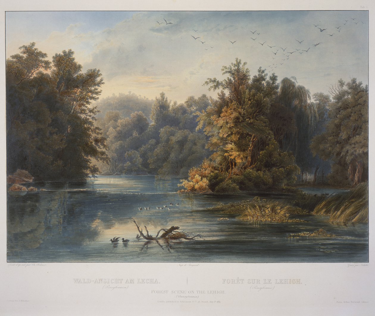 Skogscene på Lehigh av Karl Bodmer