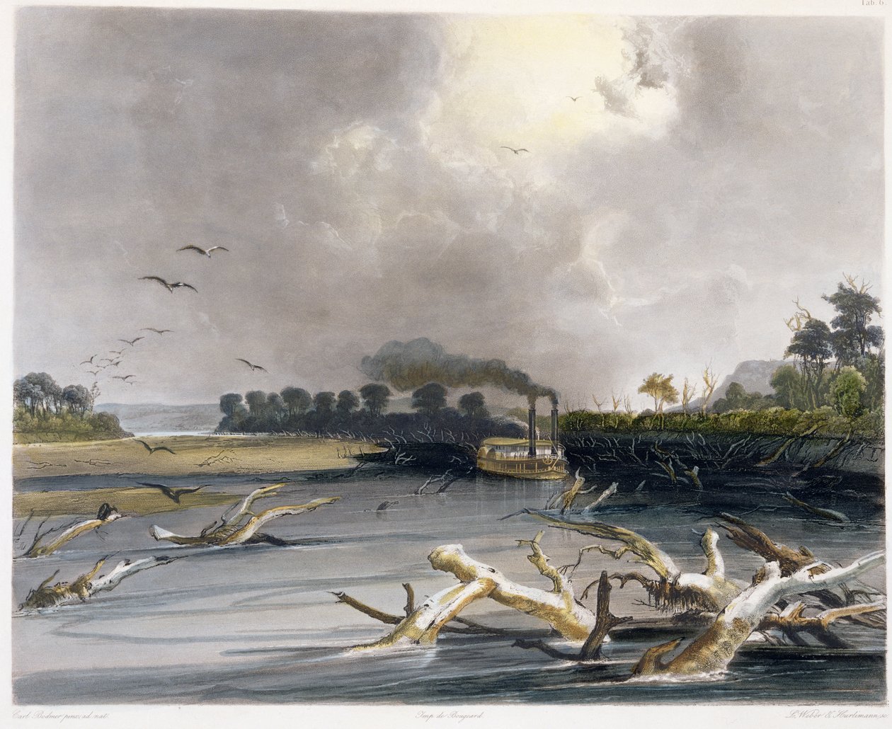 Snags (sunkne trær) på Missouri, plate 6 fra bind 2 av 