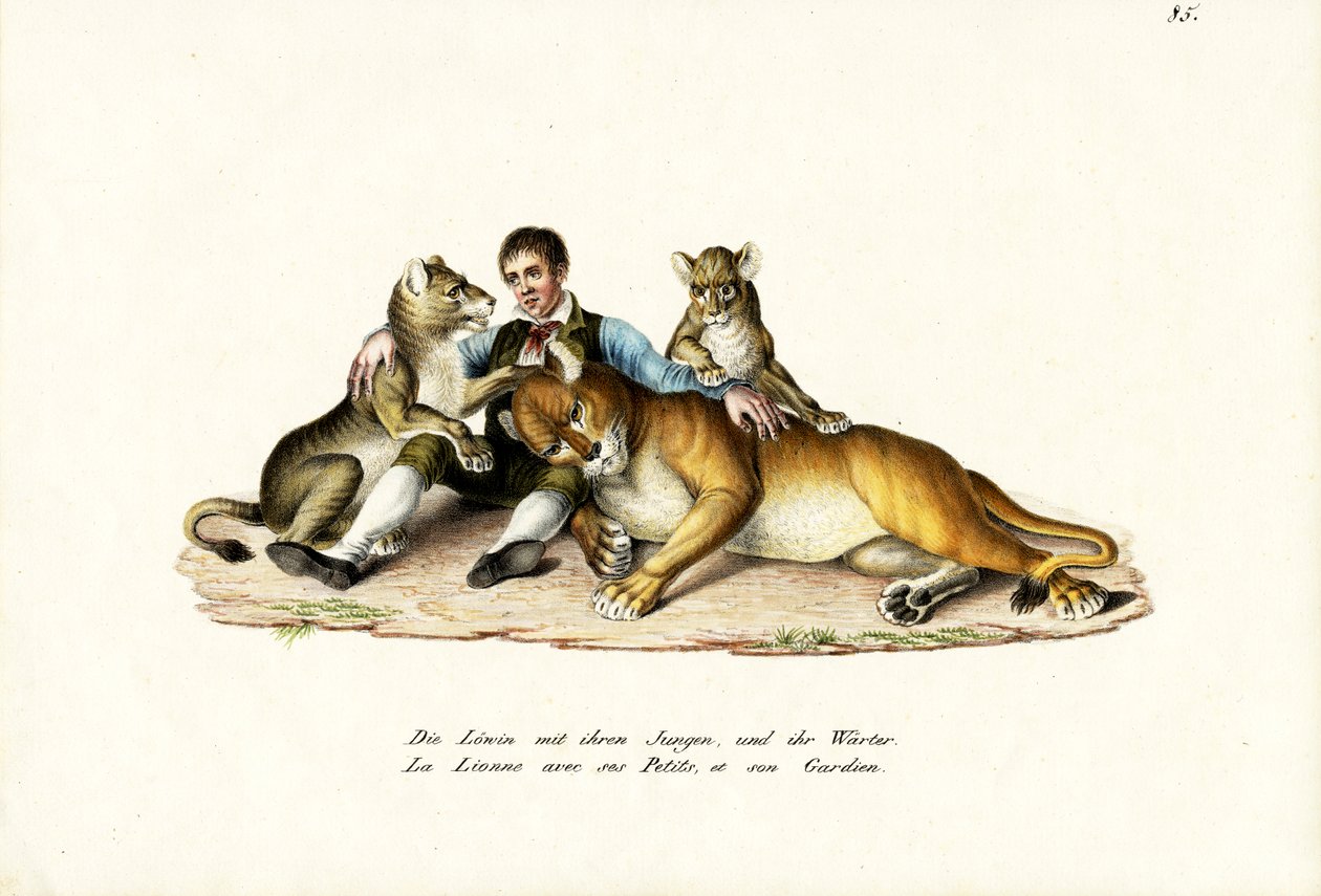 Løvinne med unger, 1824 av Karl Joseph Brodtmann