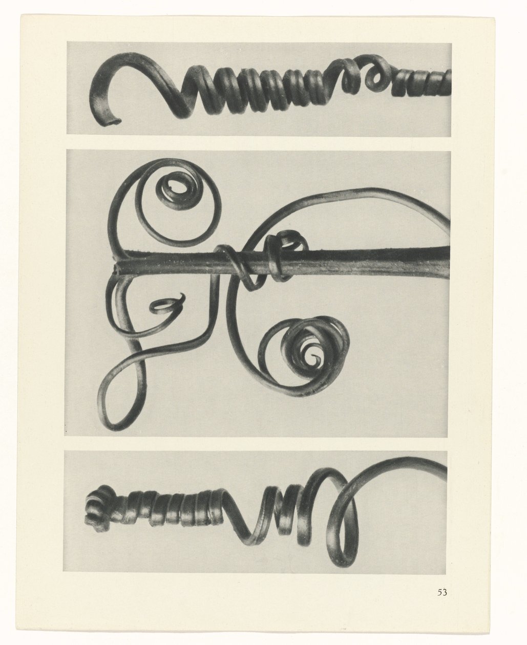planlegge studie Archetypes of Art (serietittel) av Karl Blossfeldt