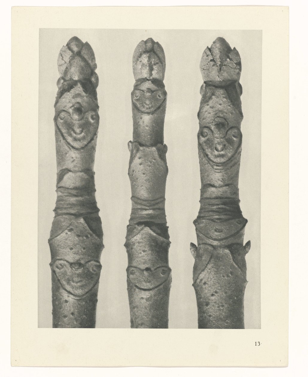 Planstudie Urformen der Kunst (serietittel) av Karl Blossfeldt