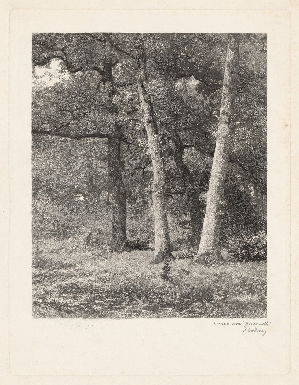 En skogrydding av Karl Bodmer