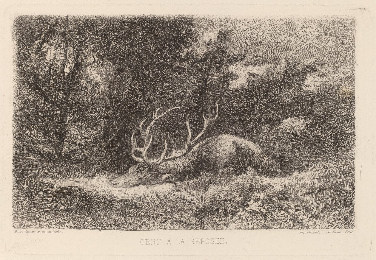 Hjort a la Reposee av Karl Bodmer