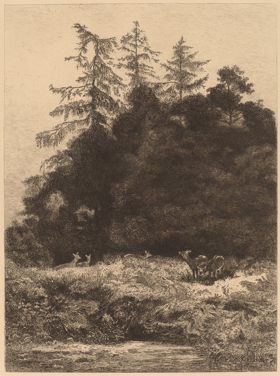 Dåhjort i en park. av Karl Bodmer
