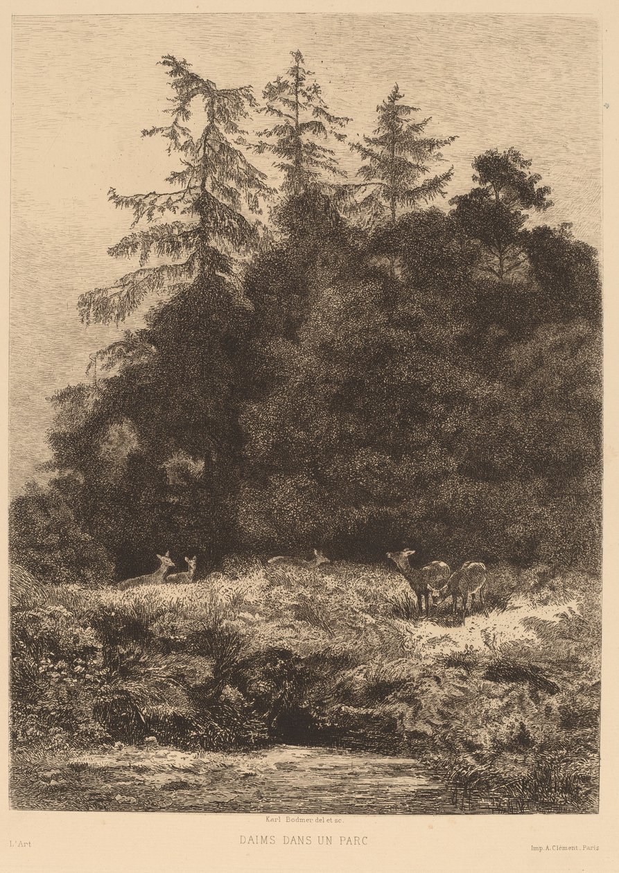 Dåhjort i en park. av Karl Bodmer