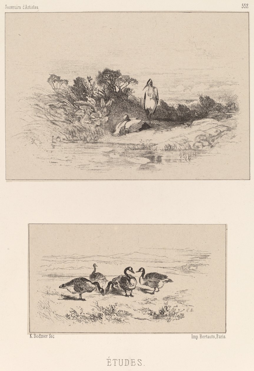 Studier av Karl Bodmer