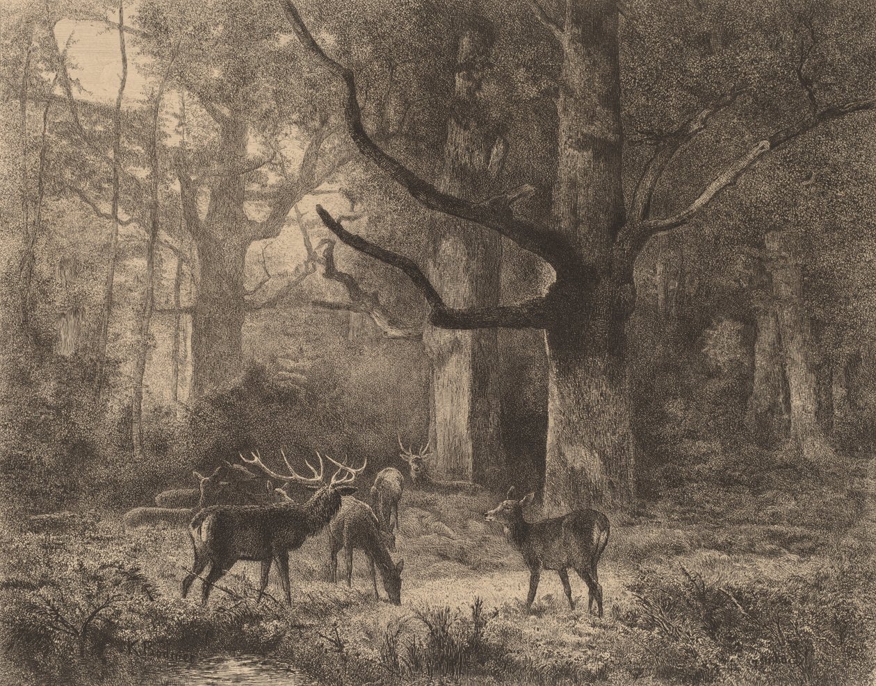 Fontainebleau-skogen. av Karl Bodmer