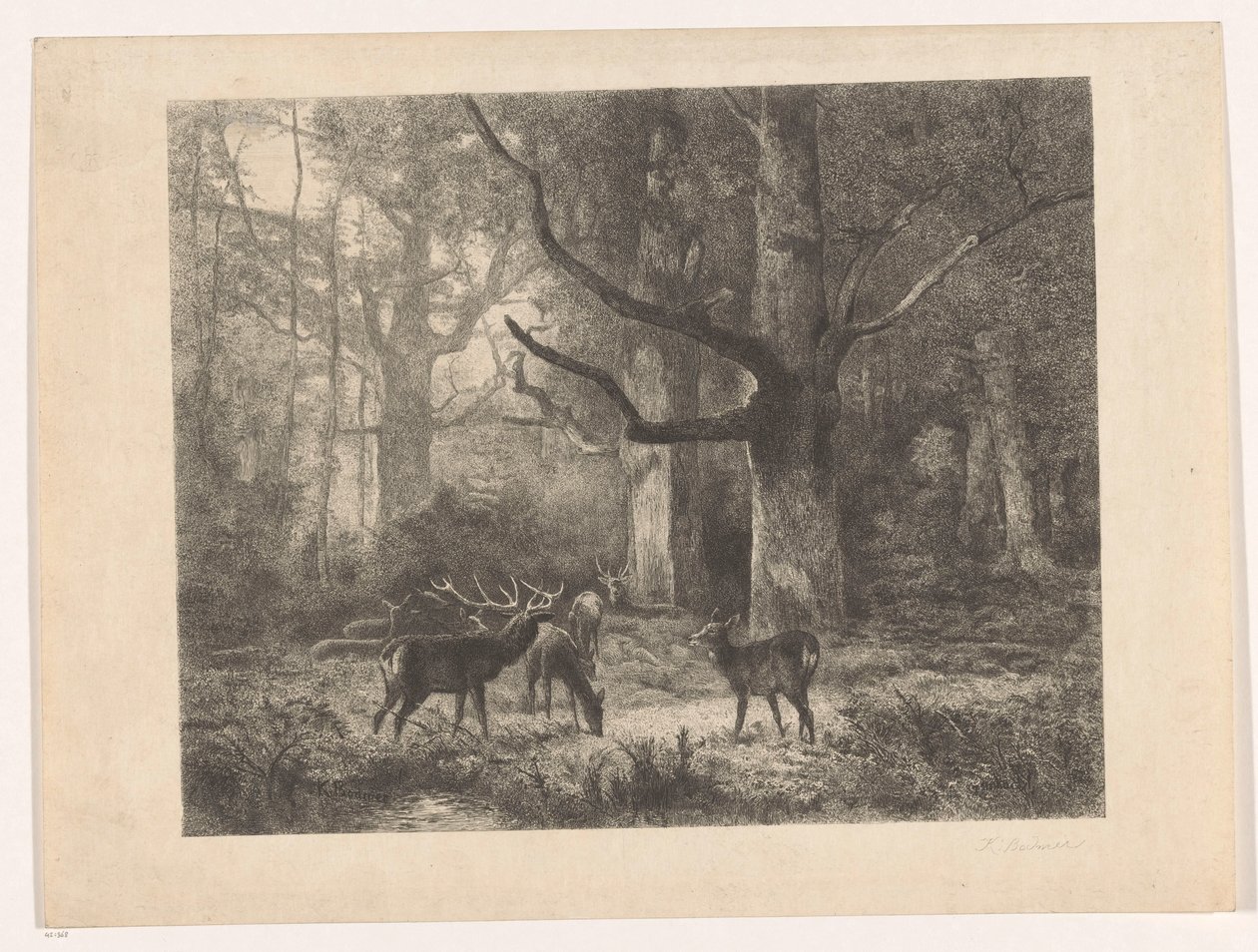 Hjort i en skog av Karl Bodmer