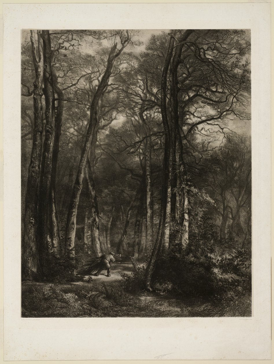 I skogen av Karl Bodmer