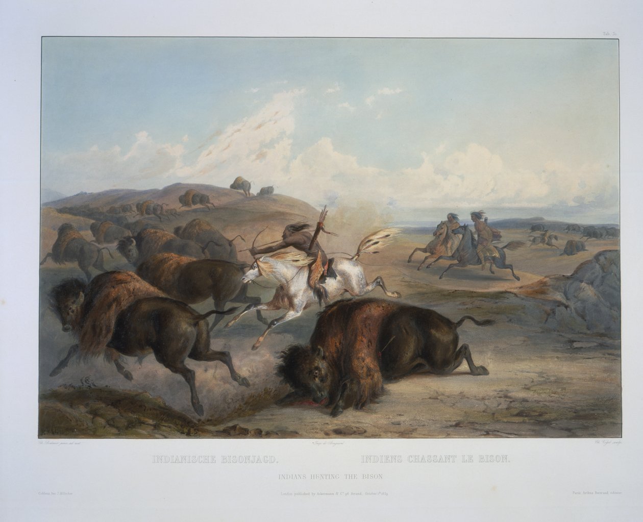 Indianere som jakter på bisonen av Karl Bodmer