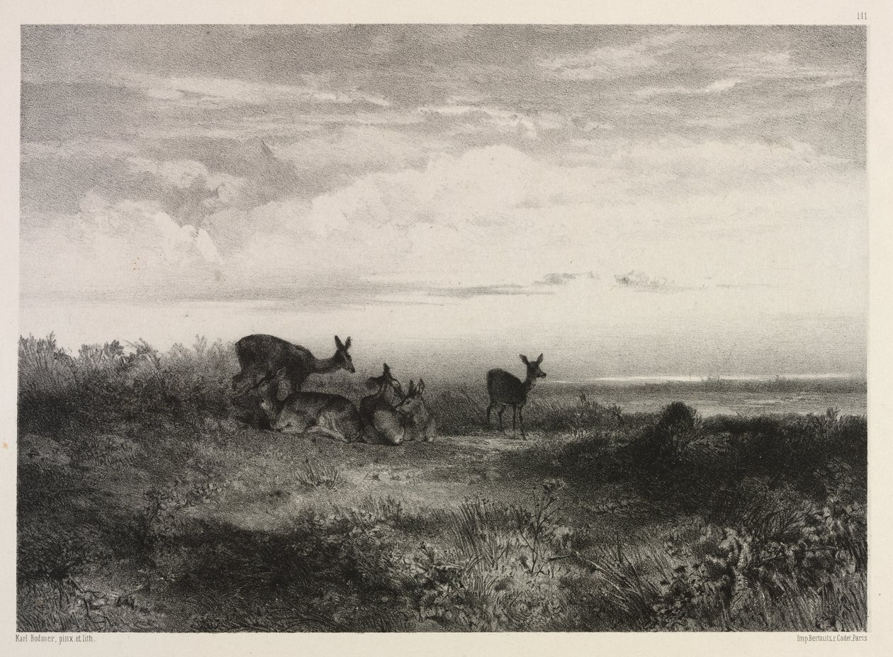 Landskap med hjort av Karl Bodmer