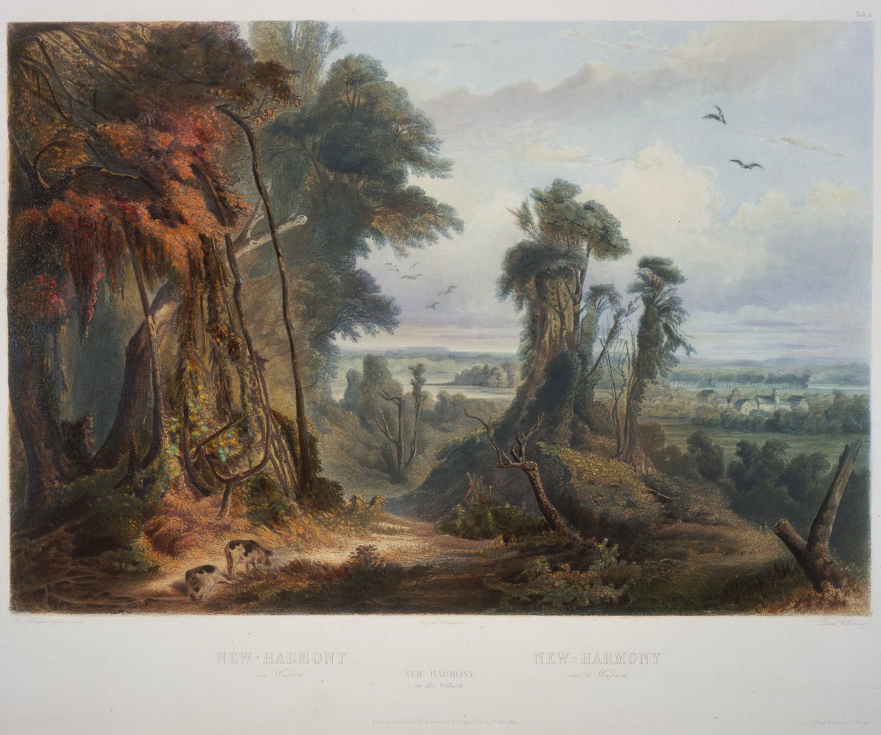 Ny Harmony på Wabash av Karl Bodmer