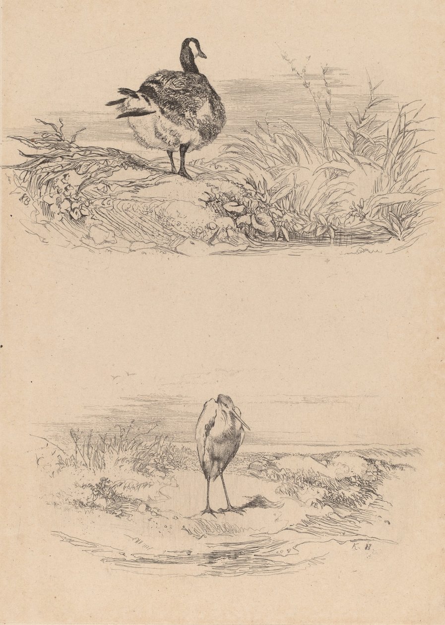 Hei, Heron. av Karl Bodmer