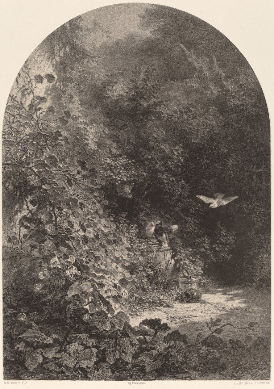 Et hjørne av hagen. av Karl Bodmer