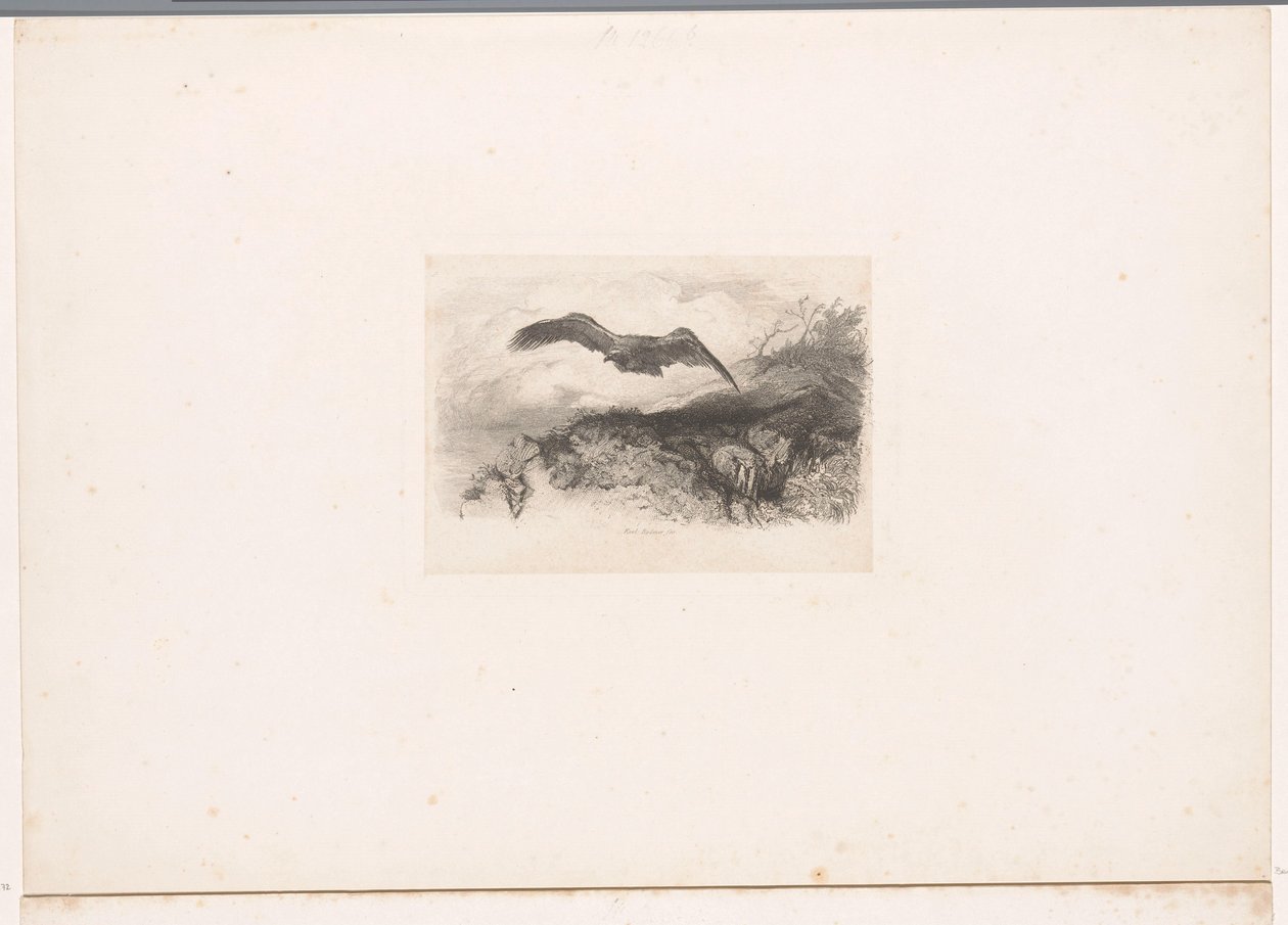 flygende ørn Landskap med dyr (serietittel) av Karl Bodmer