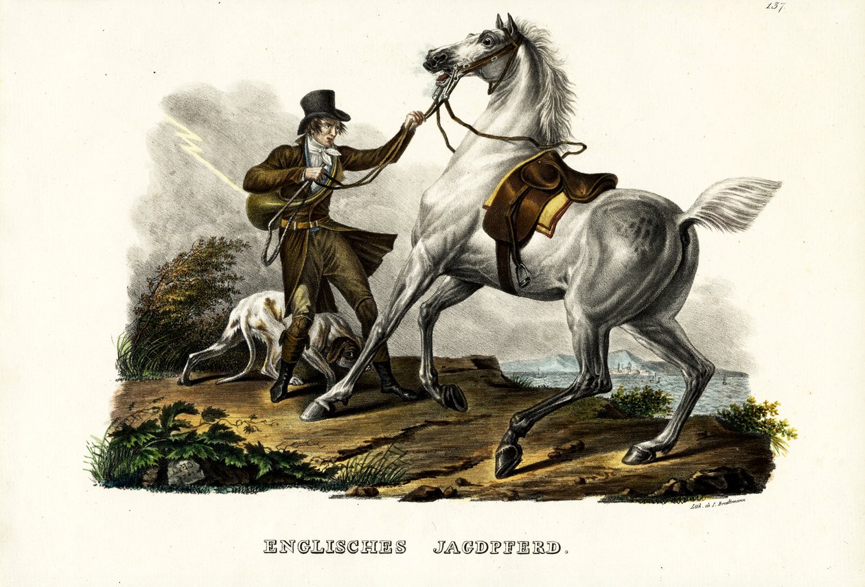 Engelsk jegerhest, 1824 av Karl Joseph Brodtmann
