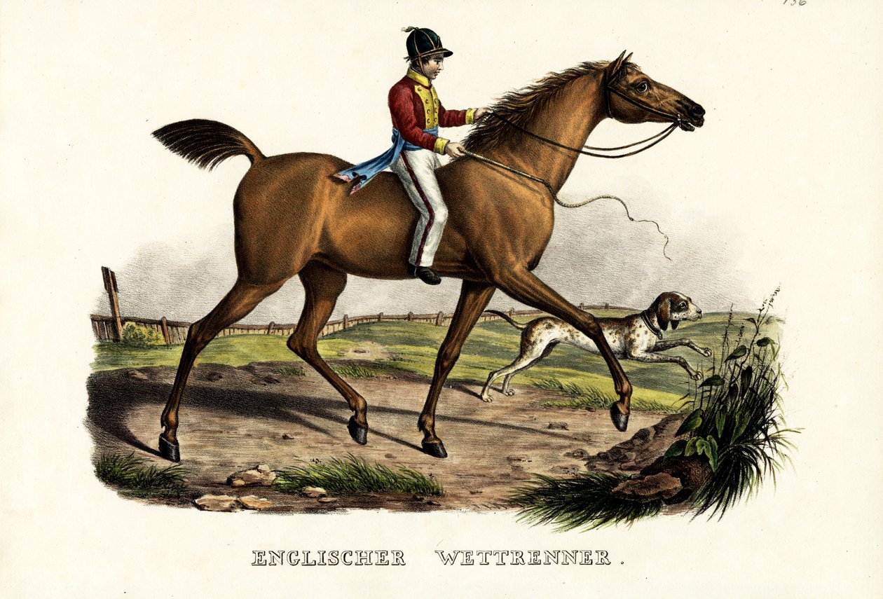 Engelsk racerhest, 1824 av Karl Joseph Brodtmann